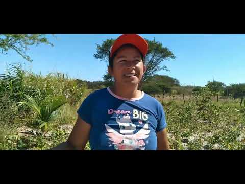 Chácara Benção de Deus. Sítio Volta do Rio. Calçado Pernambuco. 
