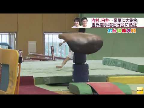 Kenzo Shirai yurchenko 3 1/2