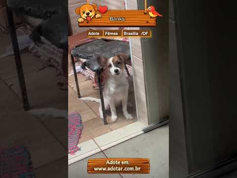 Vídeo de Banks 