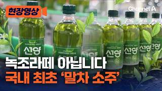 말차 열풍, 이젠 소주다…국내 첫 '말차 소주' 출시 [현장영상] / 채널A