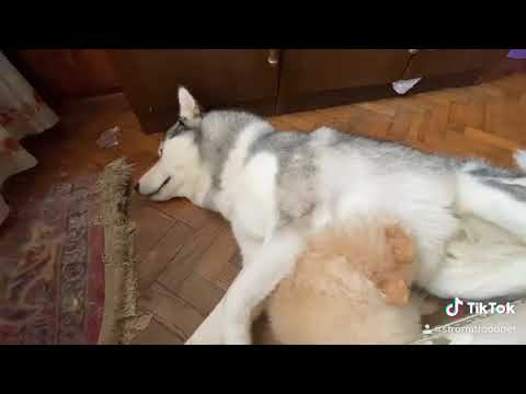 This is how we woke up🌞