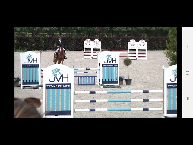 Ringo Star PS CSN 4yo