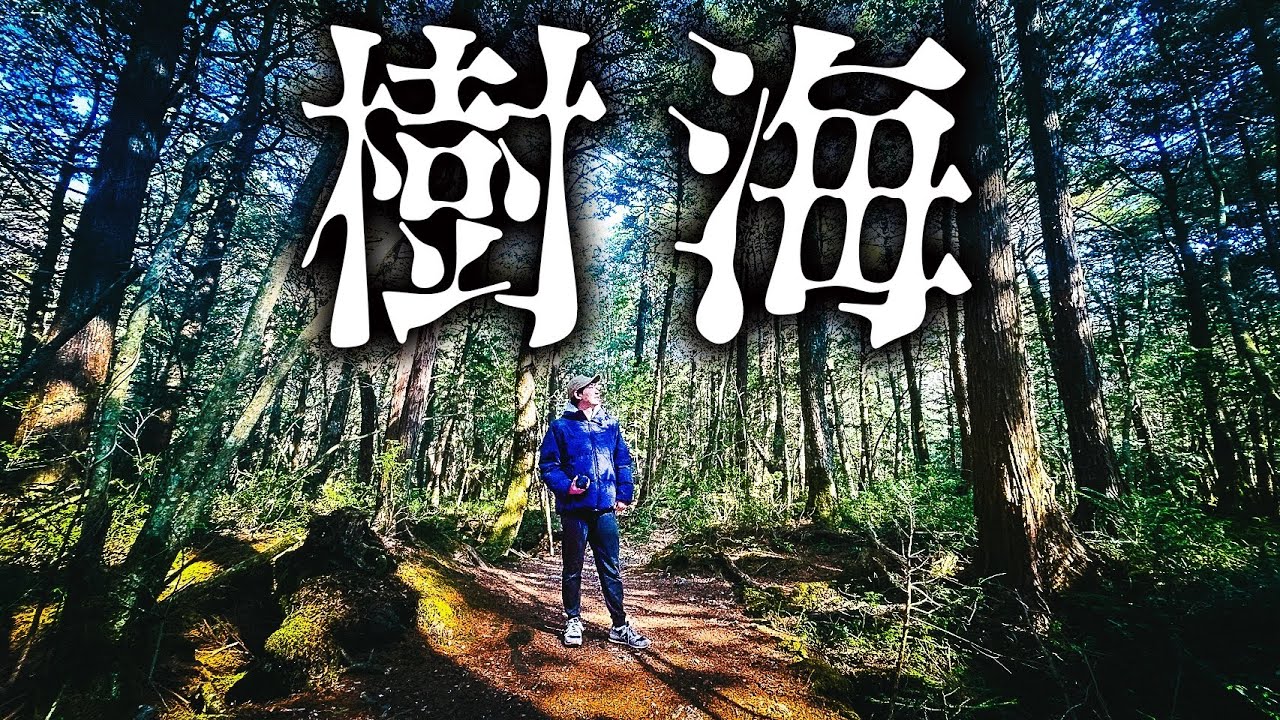 【秘境】富士の樹海に”ガチ”で行ってみた！1泊2日の旅