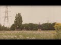 Sam Amidon - Warren (Official Video)