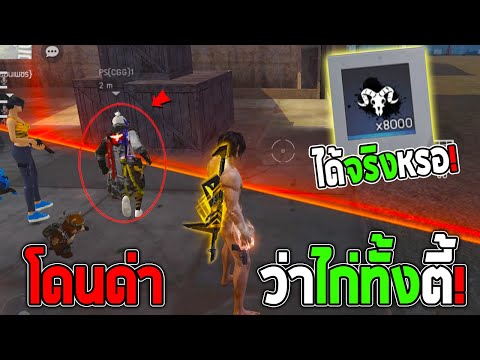 ฟีฟาย