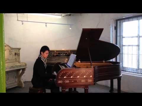 Nocturne in C sharp minor on a Richard Lipp grand piano at Besbrode Pianos by Yan Shang