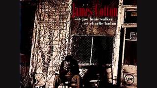 James Cotton - Country Boy