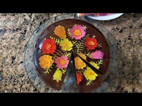 Moss Rose Jelly On A Chocolate Cake