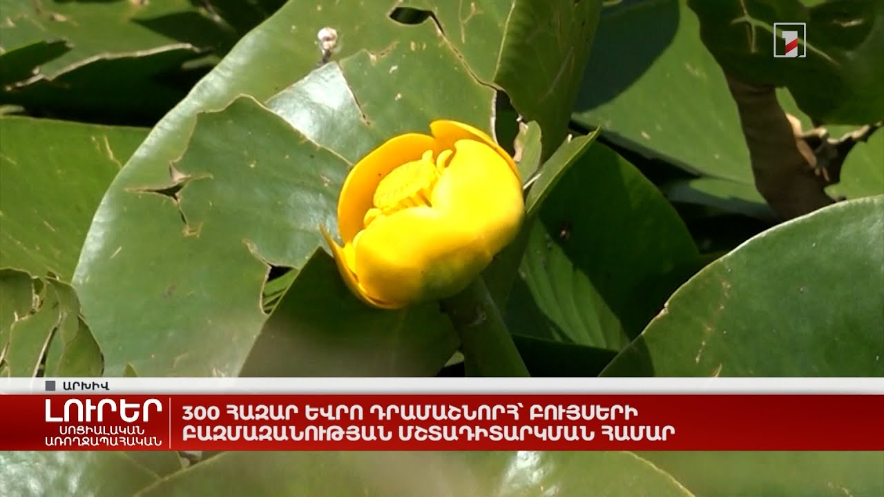 300 հազար եվրո դրամաշնորհ՝ բույսերի բազմազանության մշտադիտարկման համար