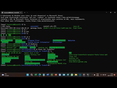 How to create fasta file with genetic sequence using WSL ubuntu and transfer files between the OS