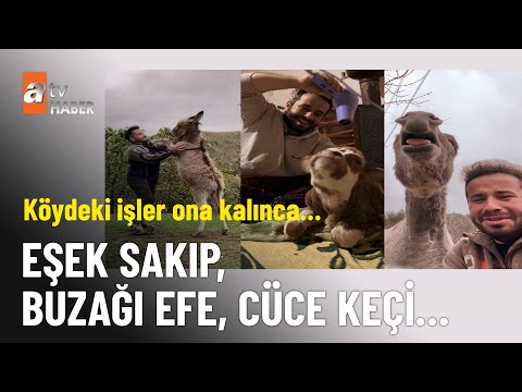 Üniversite mezunu çoban Cihan Çelik’in hikayesi - atv Haber 3 Kasım 2025