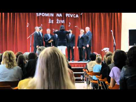 Oktet Tinje - Spev Koroške 3.6.2011