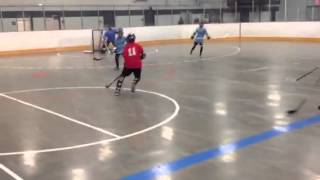Ball hockey goal