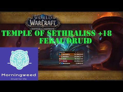 8.3 World of Warcraft Feral M+ Temple of Sethraliss +18 84.4K overall dps