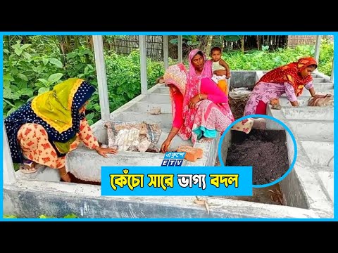 ঠাকুরগাঁওয়ে কেঁচো সার উৎপাদনে স্বাবলম্বী কৃষাণীরা