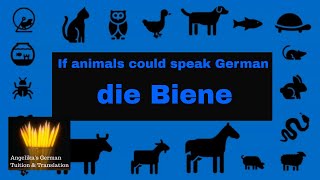 If animals could speak GERMAN: die Biene - the bee