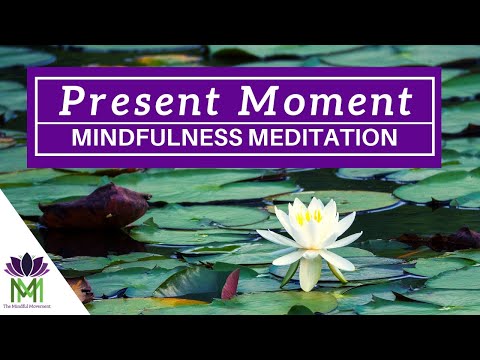 20 Minute Guided Meditation for Reducing Anxiety and Stress Clear the Clutter to Calm Down