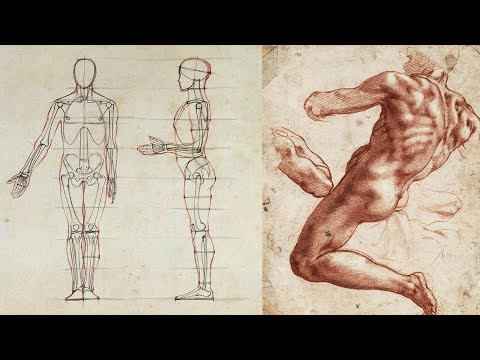 Human Figure Proportions