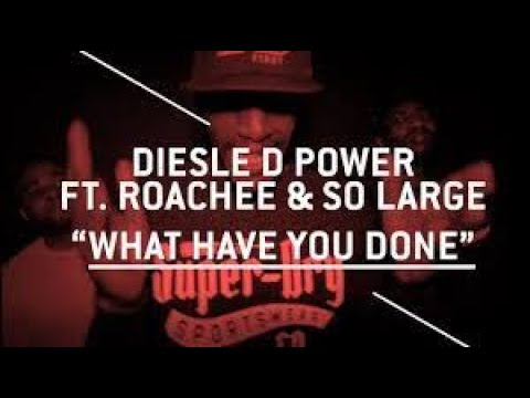 Diesle (D Power) Feat. Roachee, So Large - What Have You Done (Prod. by Spyro)