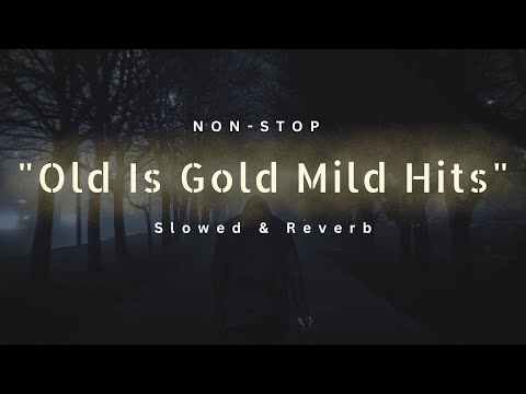 Old is gold mild mashup 2023❤️ | Lofi Slow + Reverb Mix Trending Viral Songs #music #song #mashup