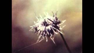 Soul Whirling Somewhere - Balanced in perfect amber