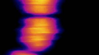 Gas - Königsforst 5 (fan video) edit