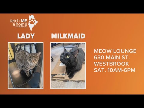Fetch ME a Home: Lady & Milkmaid - YouTube