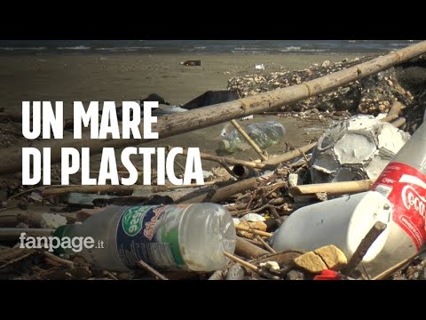 Plastic emergency: by 2050, there will be more waste in the sea than fish.