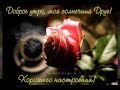 Ion Suruceanu Дарите женщинам цветы 
