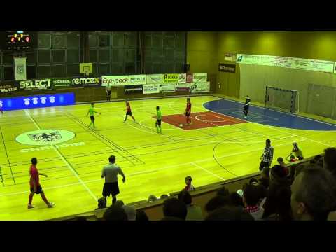 ERA-PACK CHRUDIM VS BALTICFLORA TEPLICE 17.1.2013