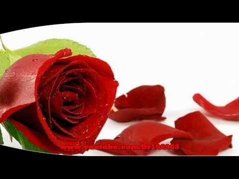 Lassana Rosa Malak ලස්සන රෝස මලක් (මුල් ගීතය)- M S Fernando - Classic Original Sinhala Song