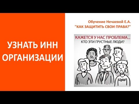 Как узнать ИНН организации по ее названию. Нечаева Елена