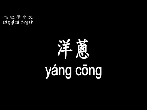 【唱歌學中文】►楊宗緯 / 洋蔥◀ ► Aska Yang / onion ◀『我就像一顆洋蔥 永遠是配角戲』【動態歌詞中文、拼音Lyrics】