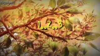 Download lagu Lirik lagu AKHIRE CIDRO guyon waton mp3