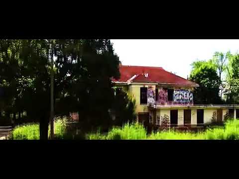 Wavy l BIRDZ ft Deep Jandu l Dj Surinder Rattan l