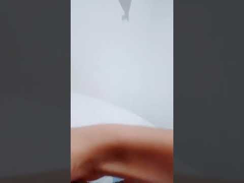 10 de novembro de 2025