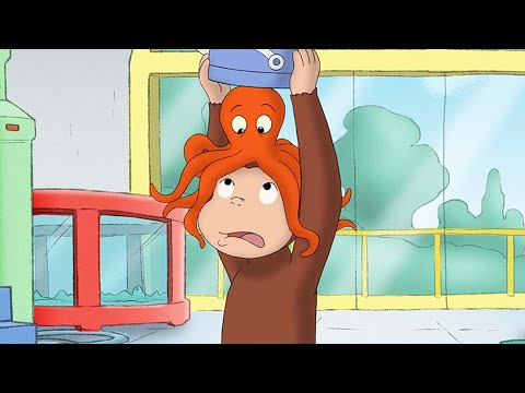 Capa de George, o Curioso | Caos no Laboratório! | Desenhos Animados em Português