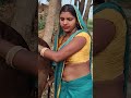 Cow Buffalo Animalfarming Farming Cattleworld Cattlefarming Animals Livestockfarming