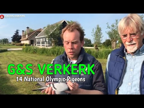 Producers of Olympic and National Winners - Gerard & Bas Verkerk