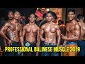 Professional Balinese Muscle 2019 - Event Highlights