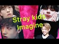 Stray Kids Imagine When You Get Period Blood On The Bed Couch Some 18