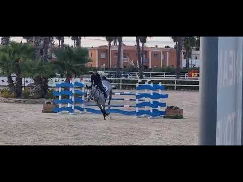 Daddy Cool Ter Linden Z