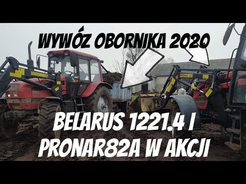 SOBOTA #3 19.GRUDNIA.2020r😎 Wywóz obornika oraz inne pracę BELARUS/PRONAR🚜🚜