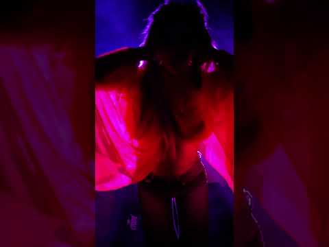 Nebel & Neonlicht  - M: tgfv
