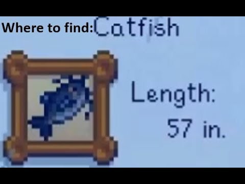 Stardew Catfish