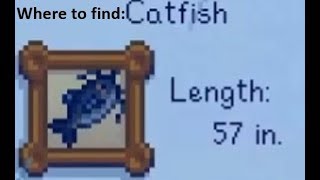 Where to catch the Catfish in Stardew Valley