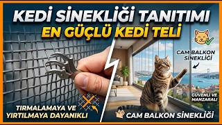 Kedi Sinekliği İle Sinek ve Kedi Problemini Çözün
