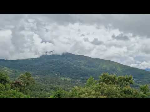 Quininí: un destino perfecto para desconectarse 🌿📵