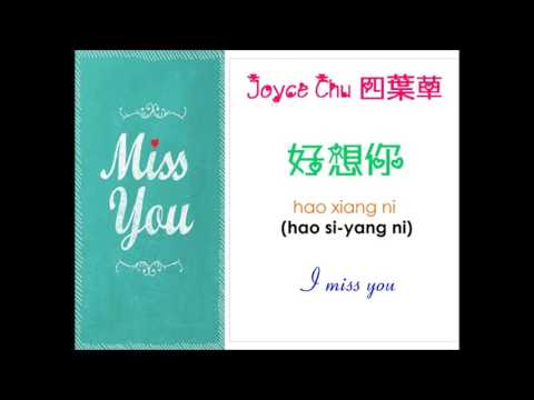 Hao Xiang Ni  - Joyce Chu - Karaoke