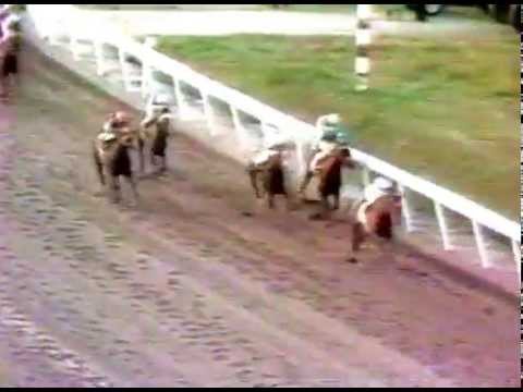 Clásico del Caribe 1974 - Barremina (PAN)